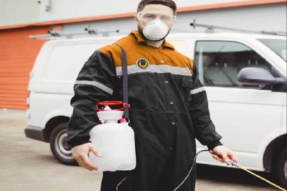 شركة مكافحة حشرات بضرما